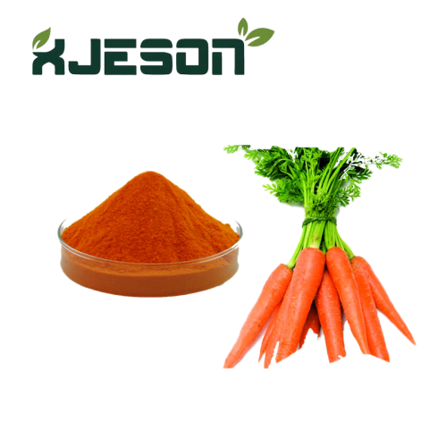 Ingrédients alimentaires poudre de carotte séchée